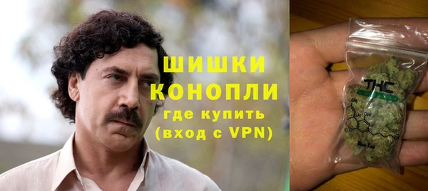 PSILOCYBIN Алексеевка