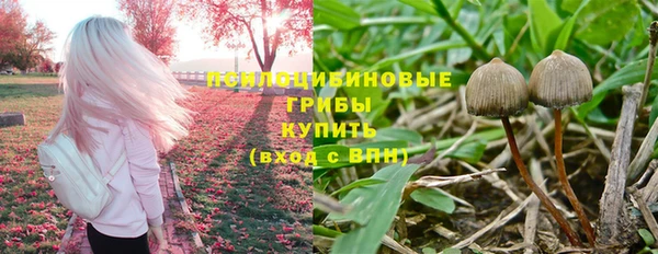 не бодяженный Абдулино