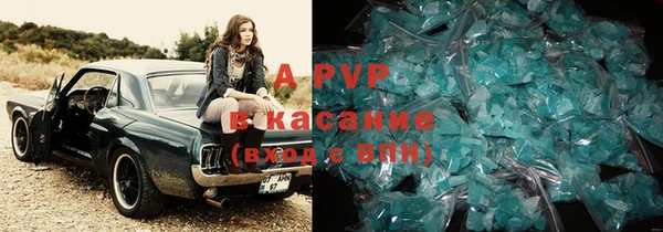ГАЛЛЮЦИНОГЕННЫЕ ГРИБЫ Магас
