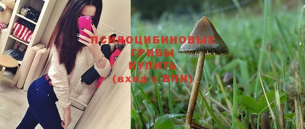 мяу мяу кристалл Алексин