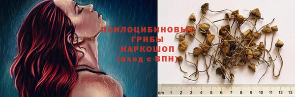 стафф Алзамай