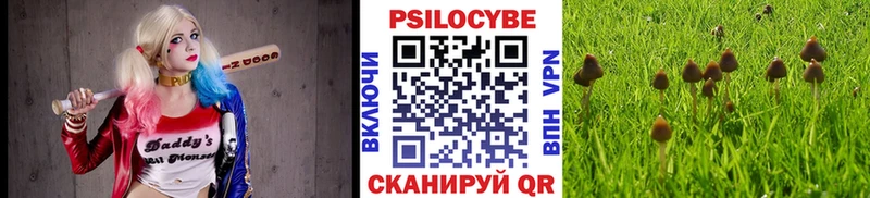 хочу наркоту Злынка Псилоцибиновые грибы мицелий