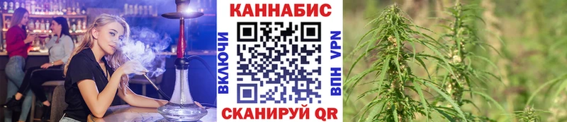 закладка  нарко площадка клад  Бошки марихуана семена  Злынка 